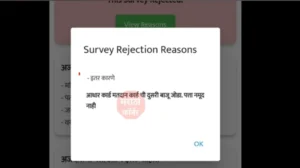 majhi ladki bahin yojana form survey rejection reasons 3