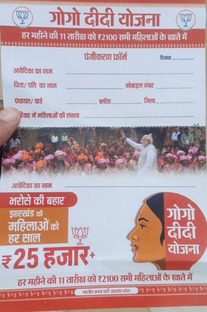 Gogo Didi Yojana Form