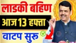 ladki bahin yojana 13 hafta update
