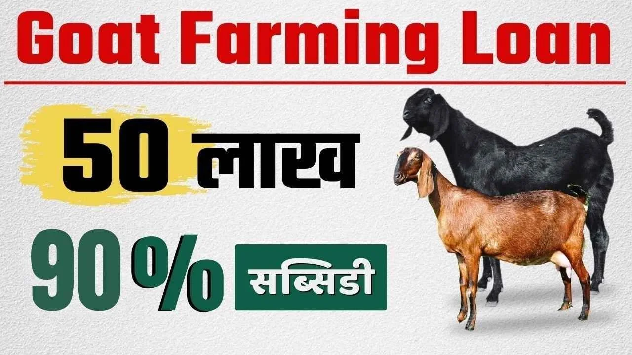 Goat Farming Subsidy Scheme 2026